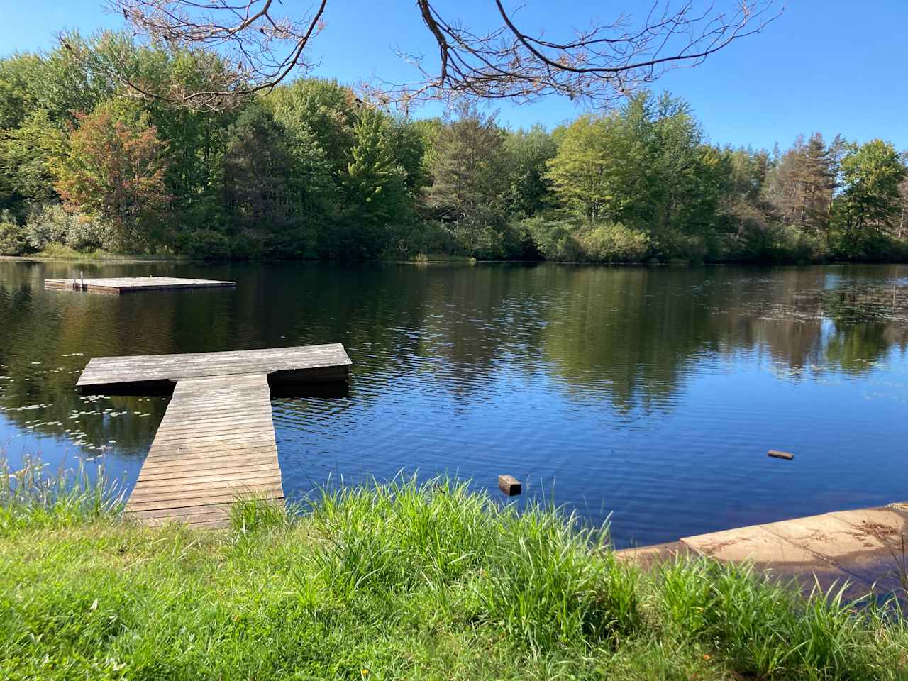 Camp on the Organic Blueberry Pond!