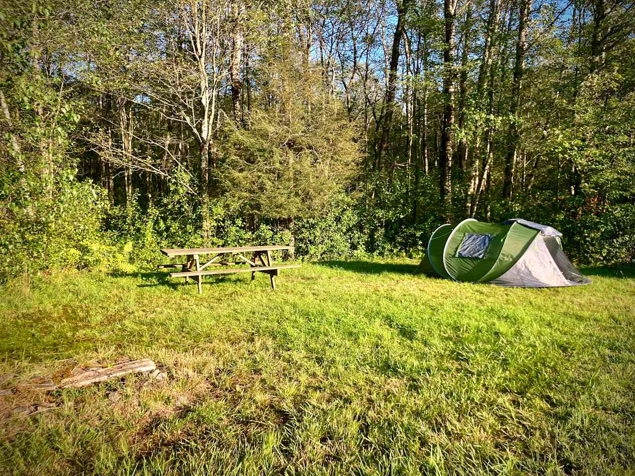 Camp on the Organic Blueberry Pond!