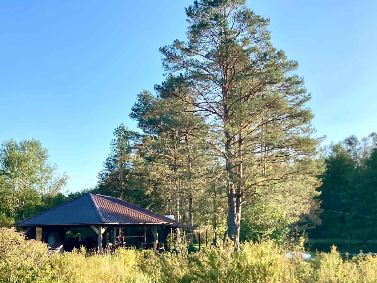 Camp on the Organic Blueberry Pond!