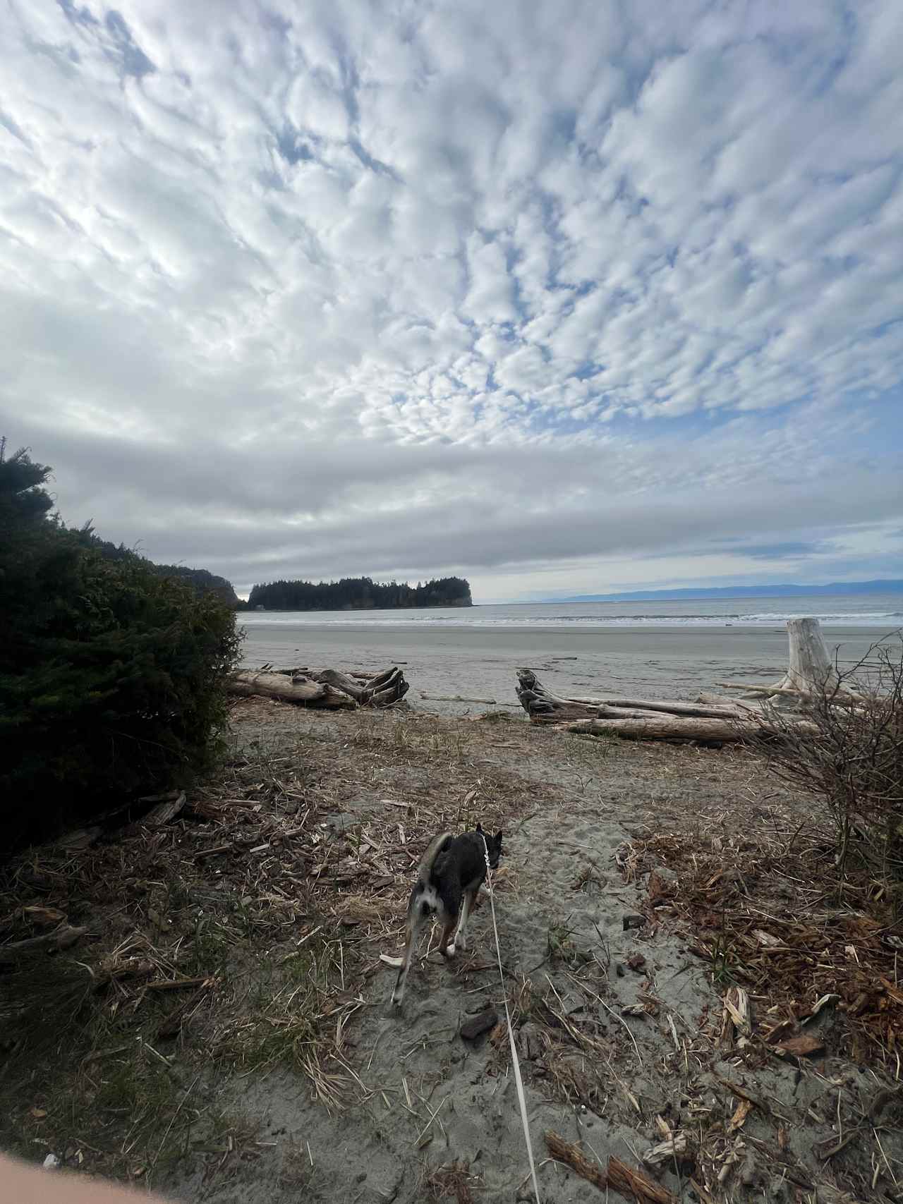 Crescent Beach & RV