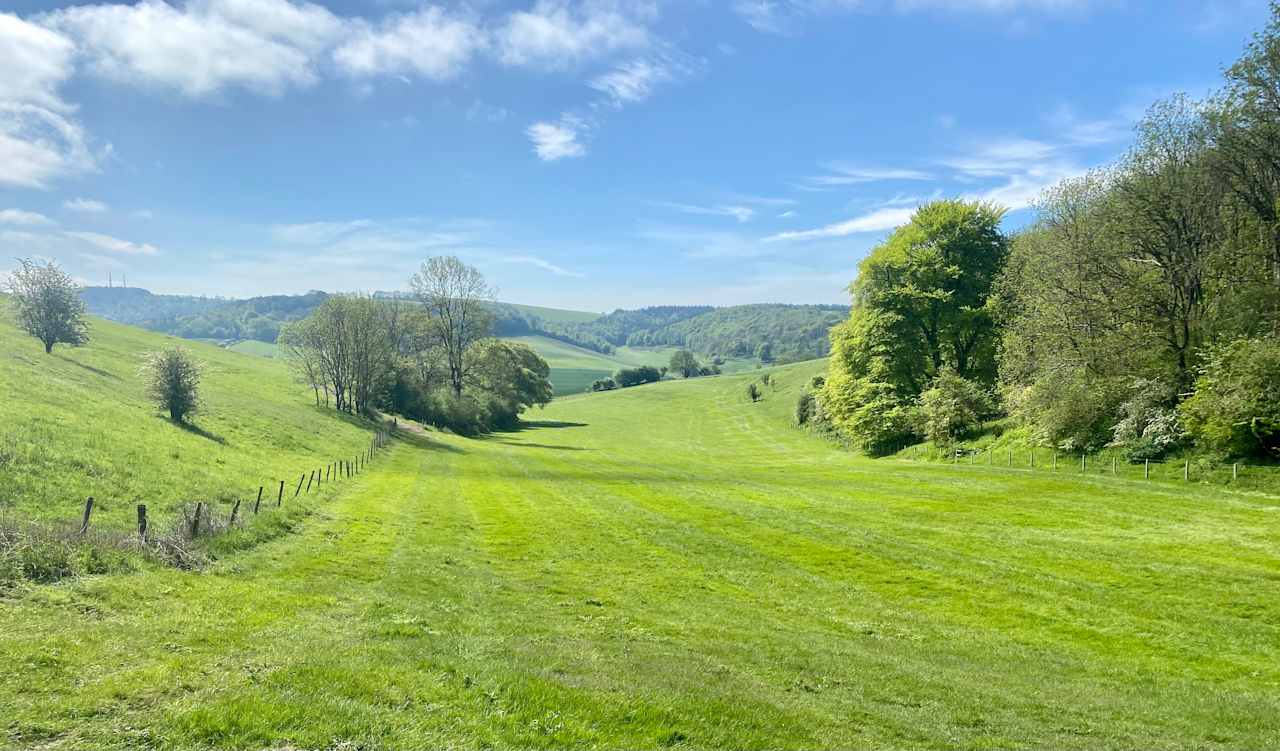 Littleton Farm Campsite