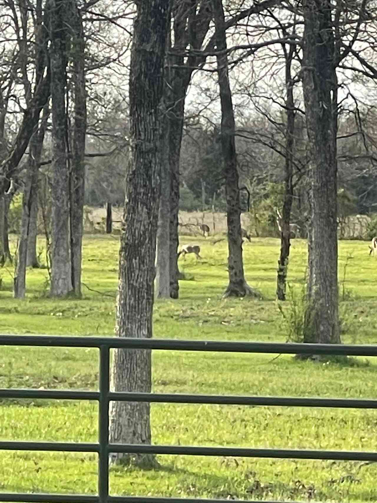 Helberg Ranch