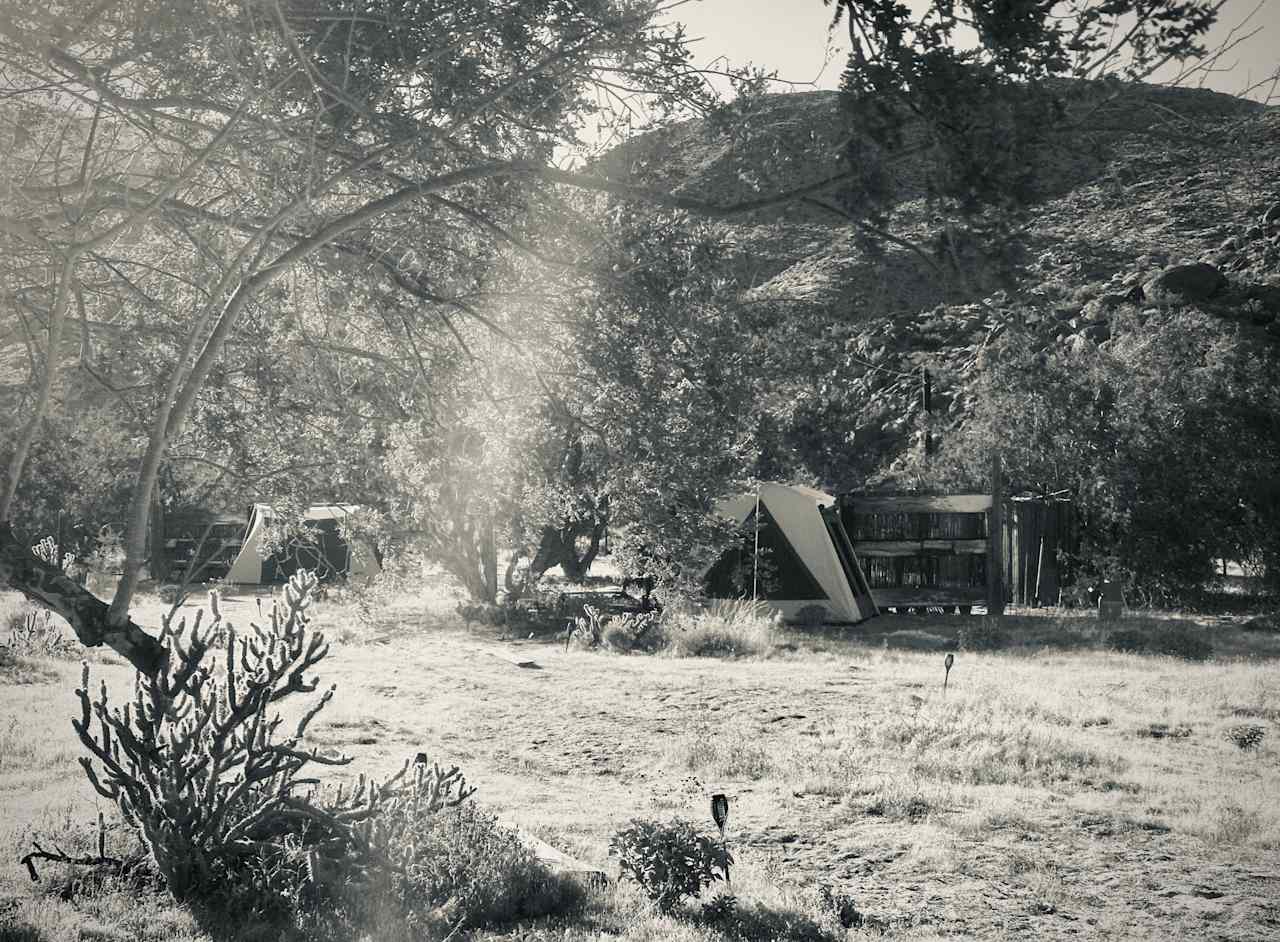 Dark Sky Wilderness Retreat