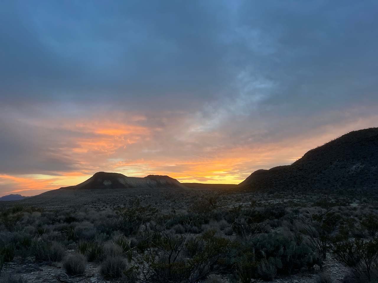 Yaqui Moon Ranch