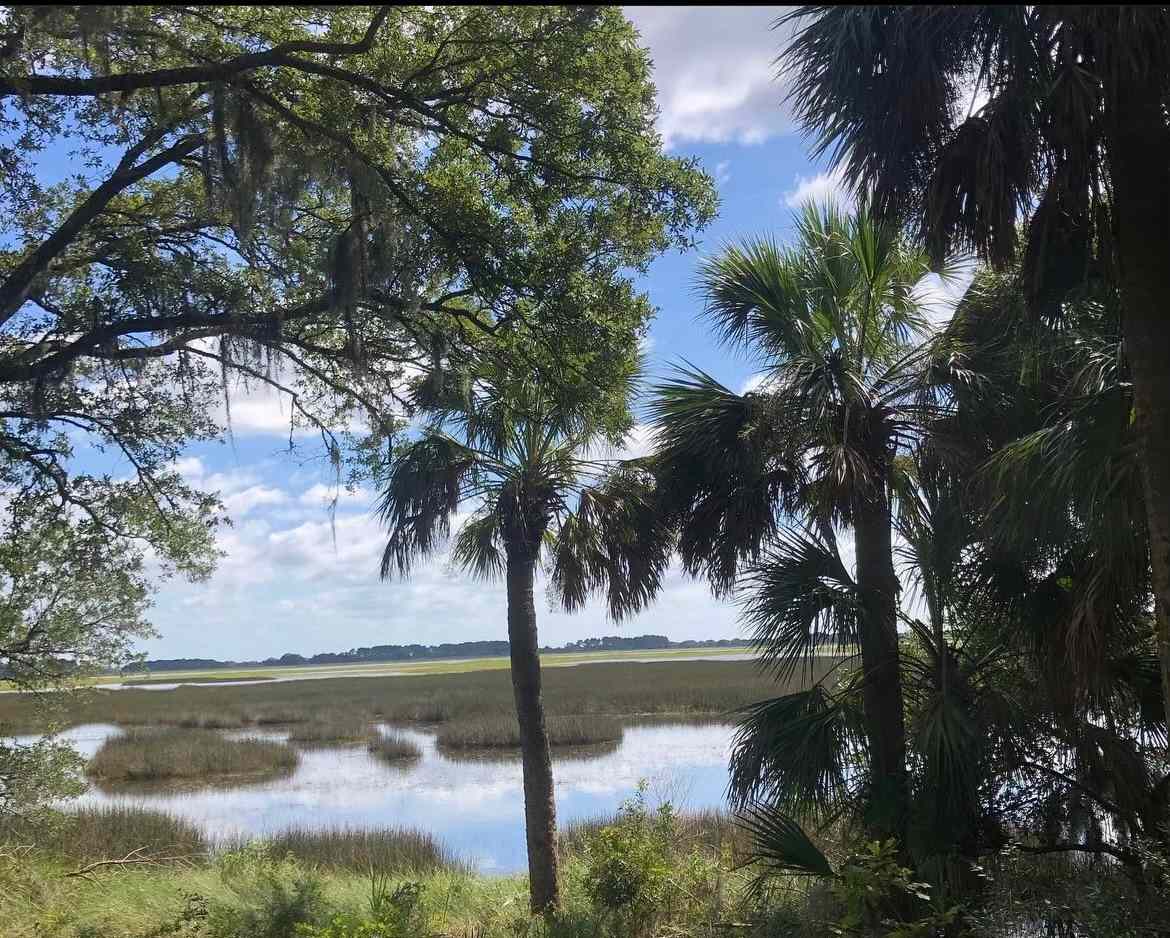 Bennetts Point 31
