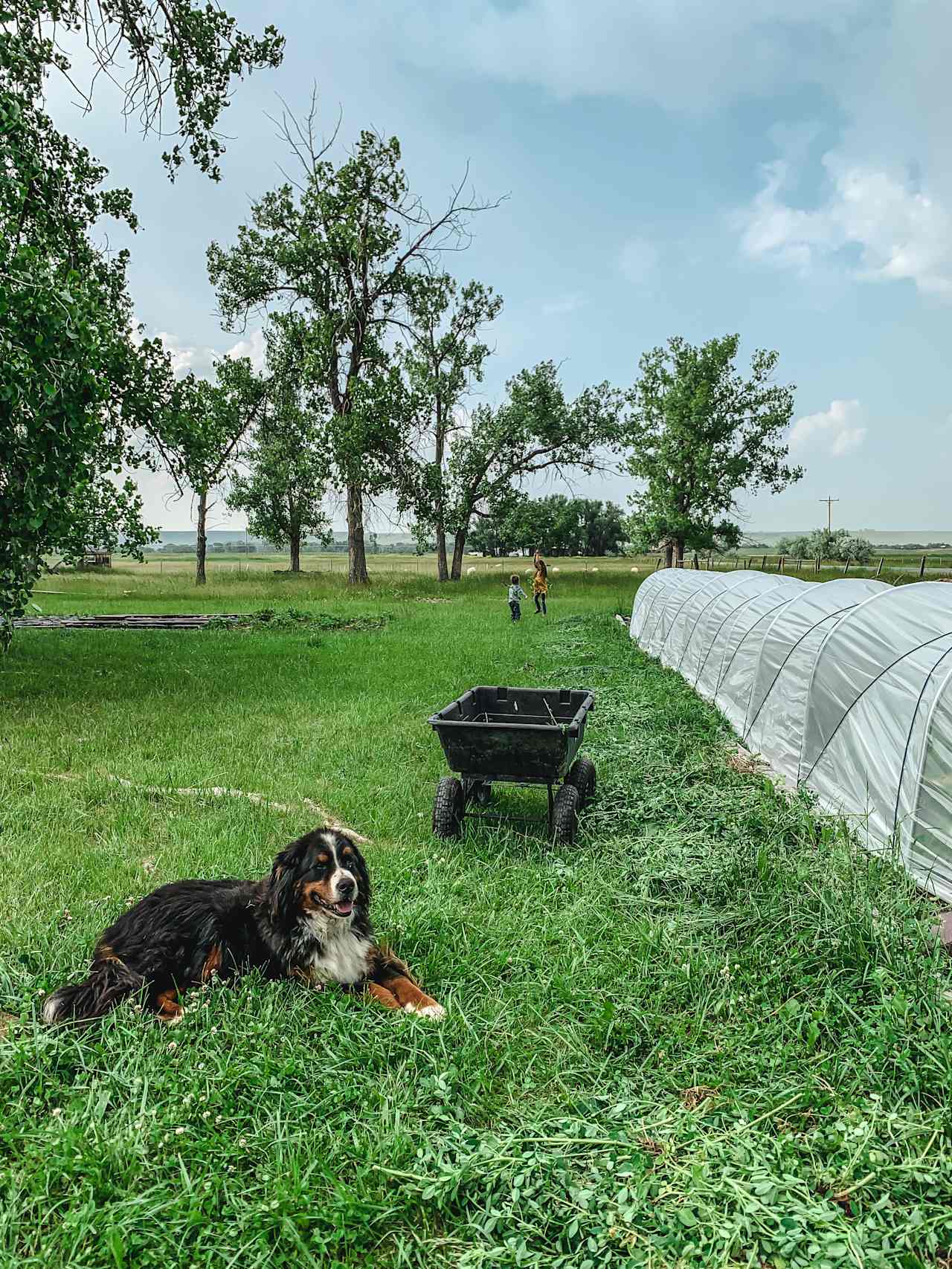 Hardda Farm Site