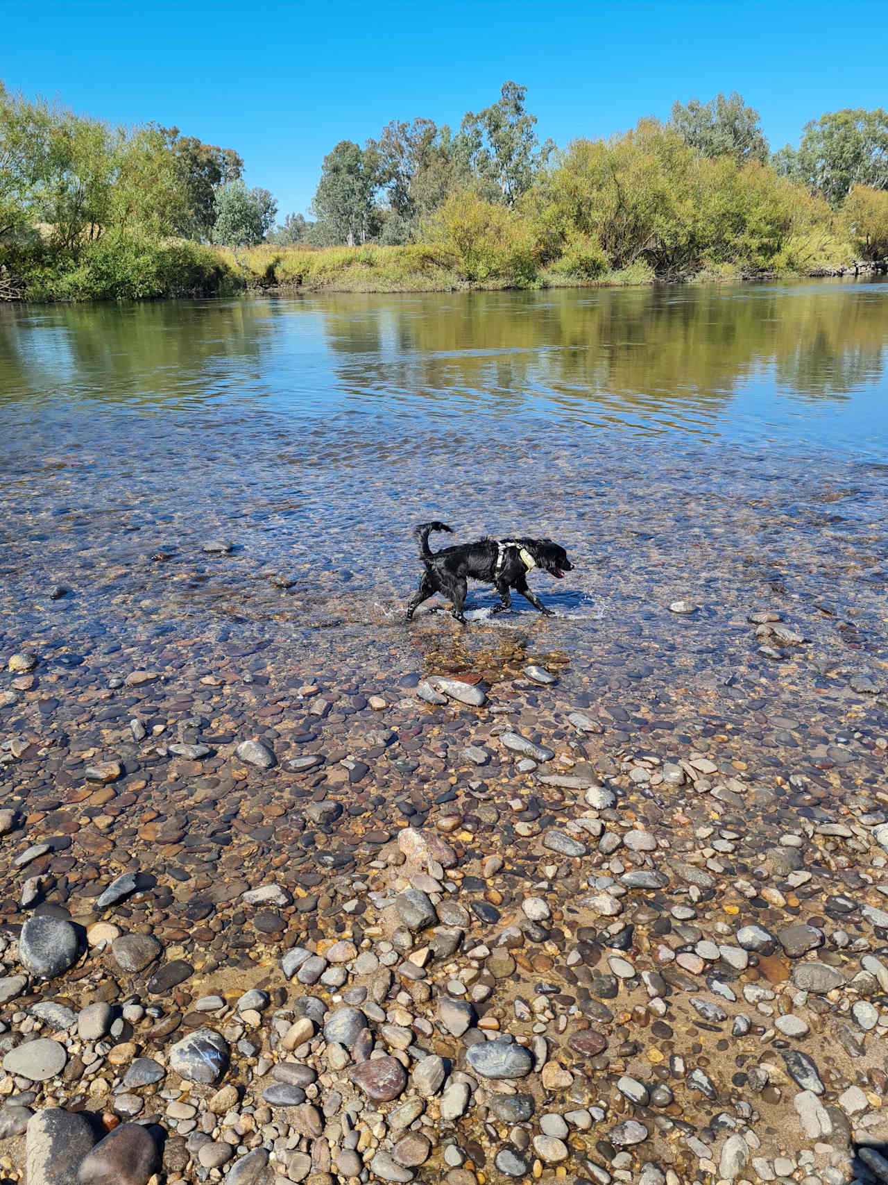 Bimbimbi River Camp