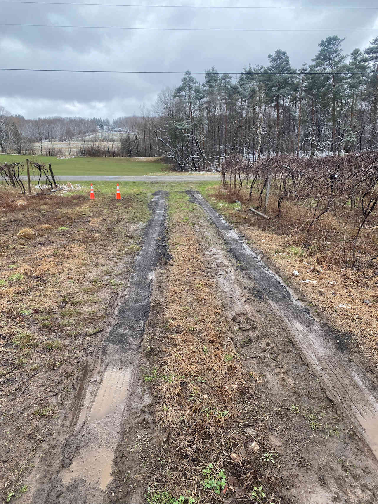 Spring 2024 brought a significant amount of rain. This was April’24
