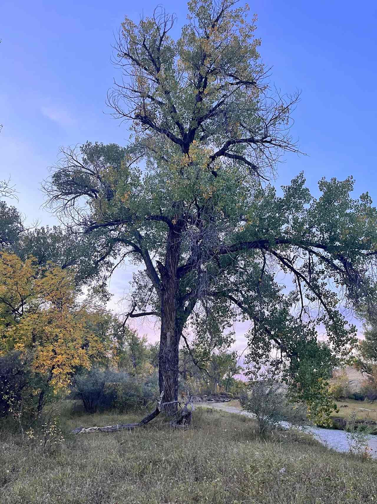 Little Bighorn Battlefield Camp