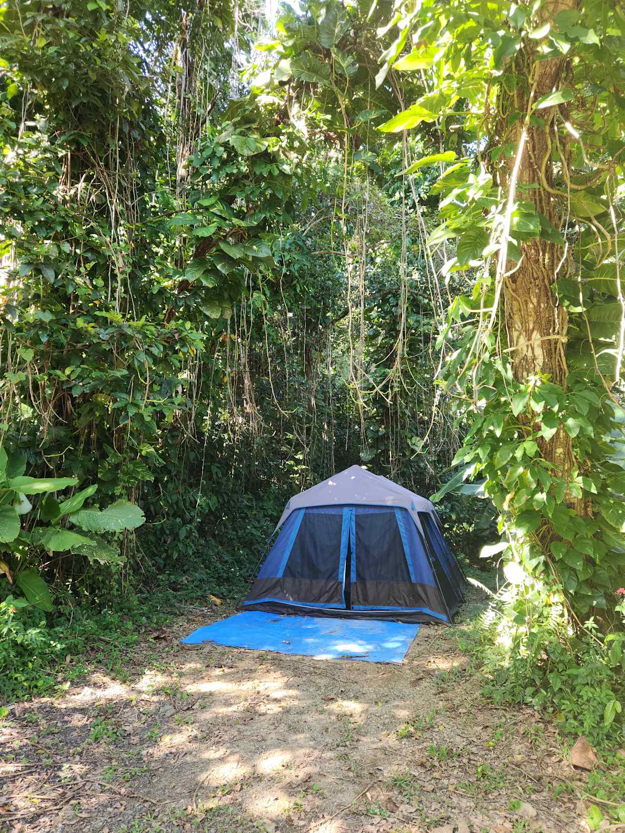 Hacienda Monte Rey near El Yunque