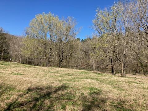 Sylamore Creek Hike And Camp