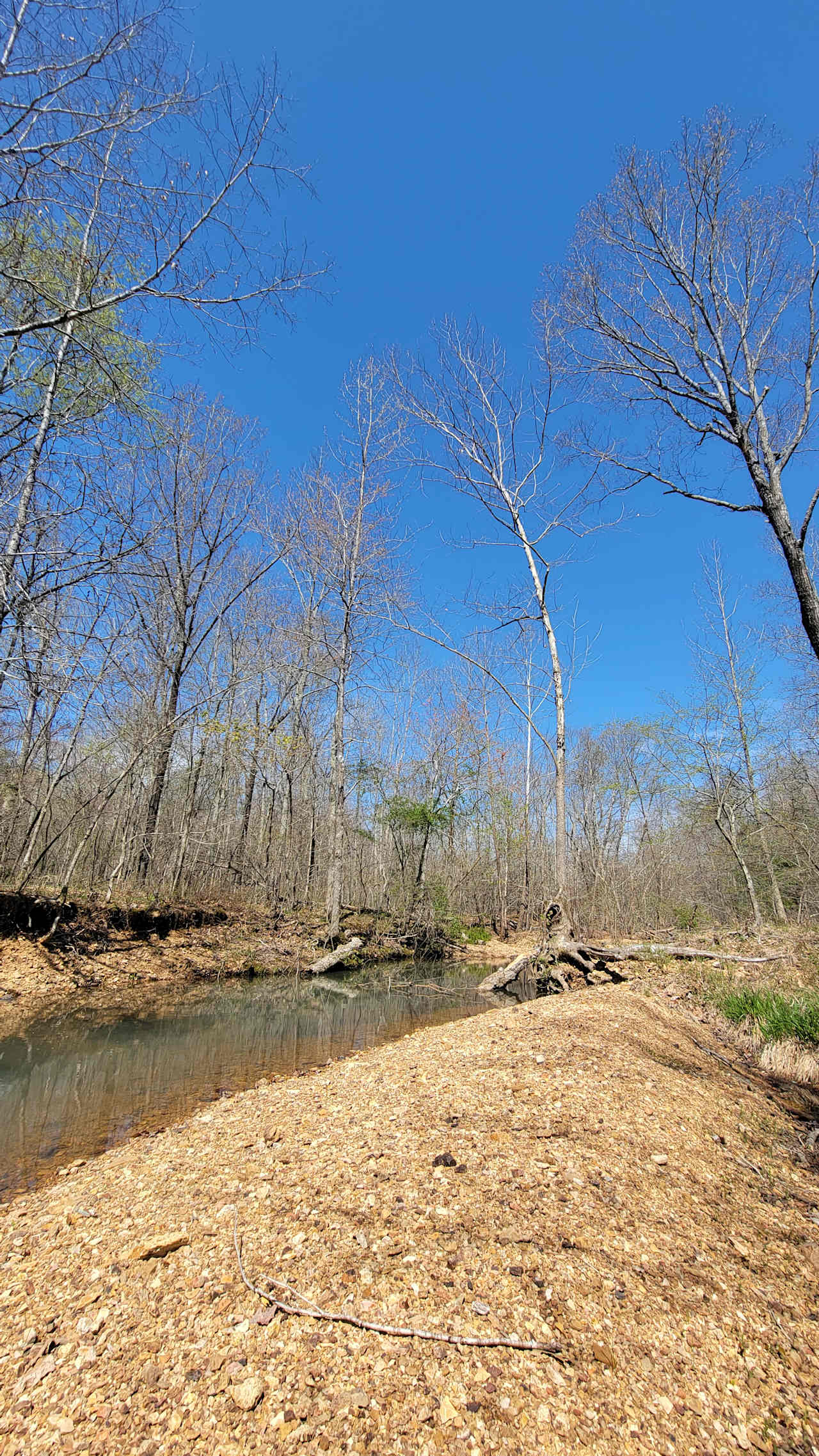 Rocky Creek Camp