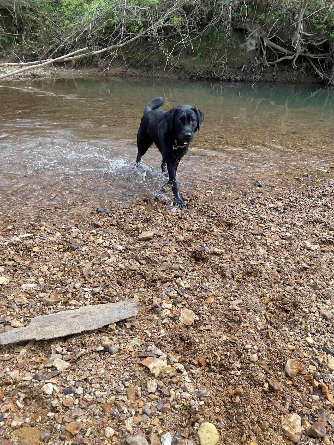 On the Creek Retreat