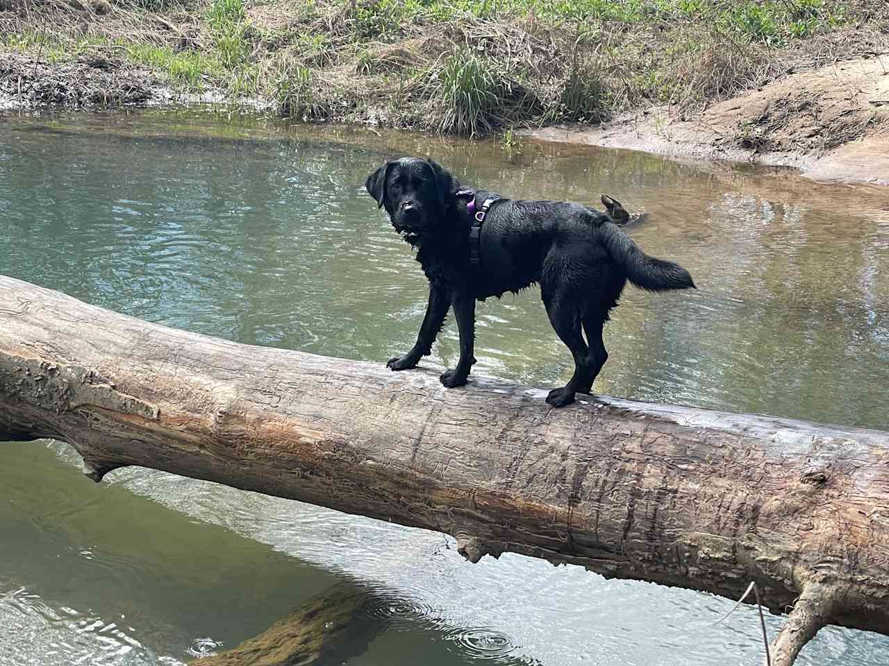 On the Creek Retreat