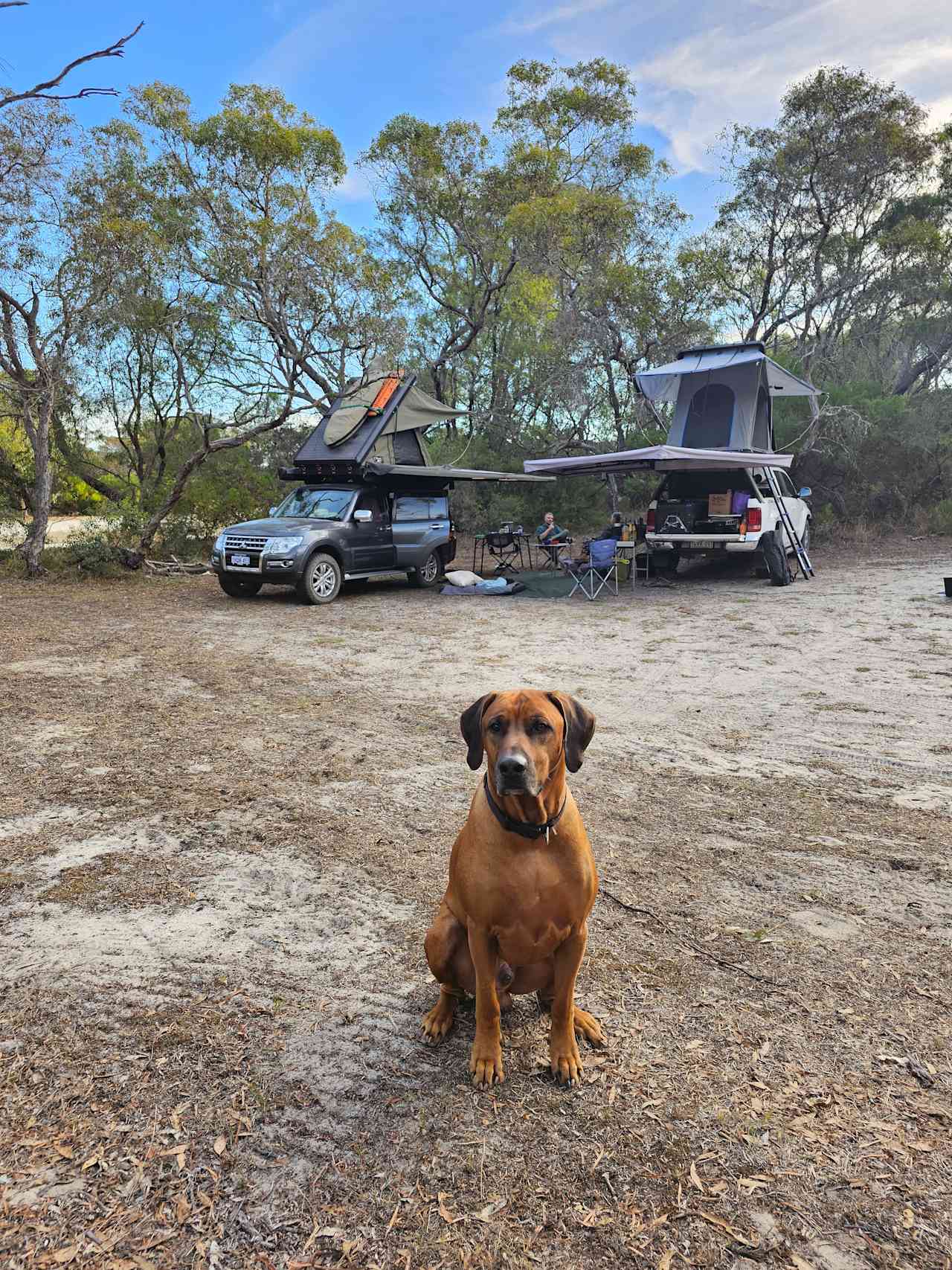 Toolibut Bush Camp