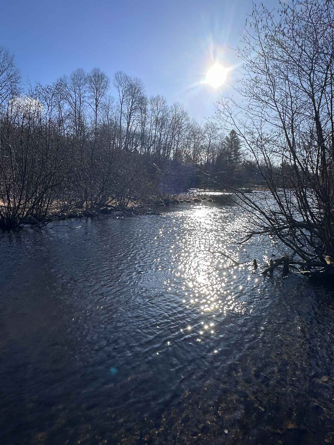 Basecamp on Au Sable North Branch