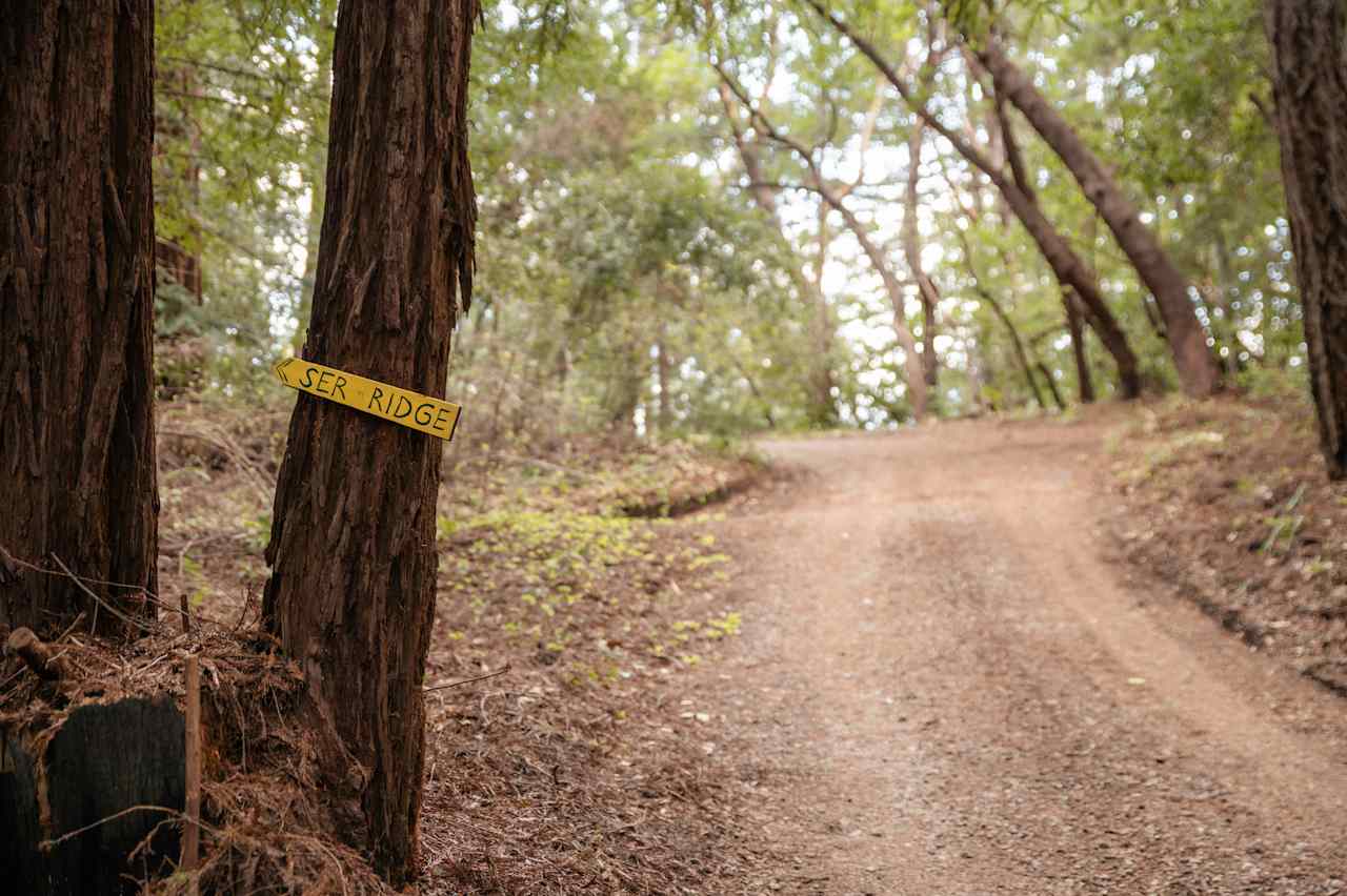 road that will take you to the top of the ridge