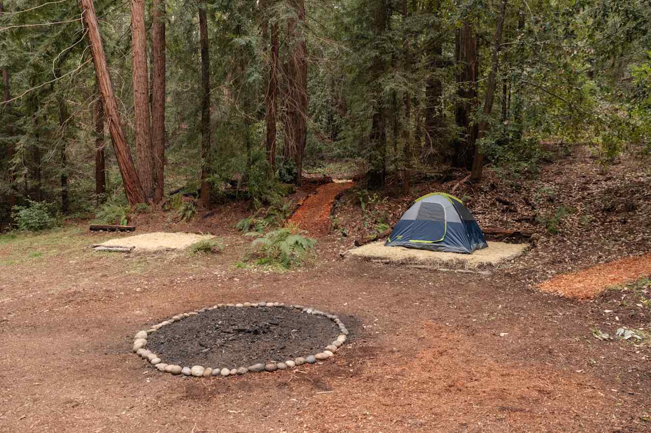 each site is plenty big for a 6 person tent