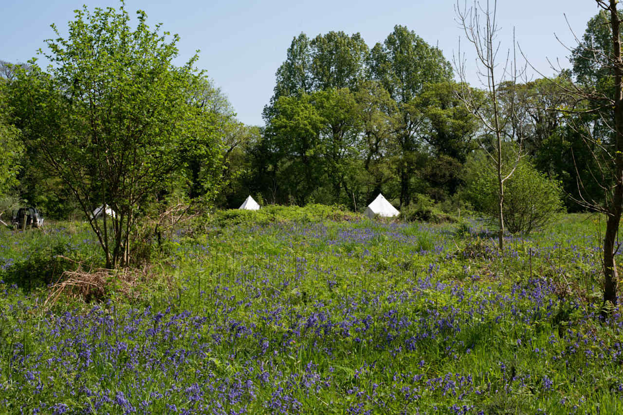 Exclusive use Cornish WILD Glamping