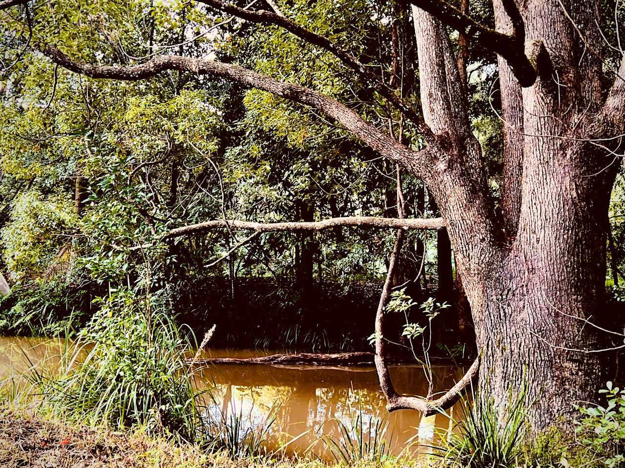 Beautiful Creek Location