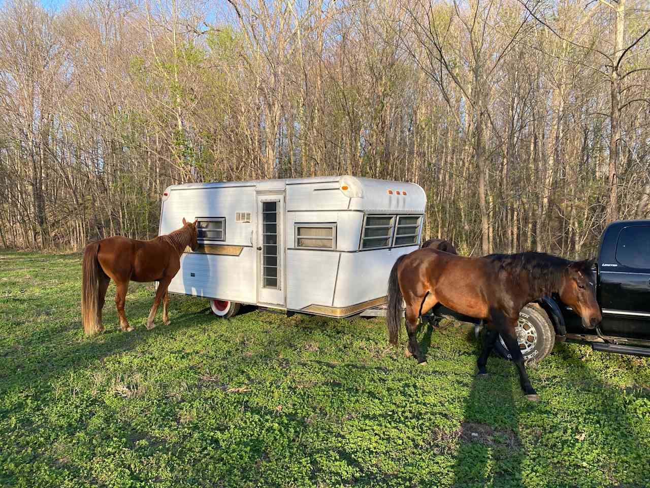 Calliman Stables Campgrounds