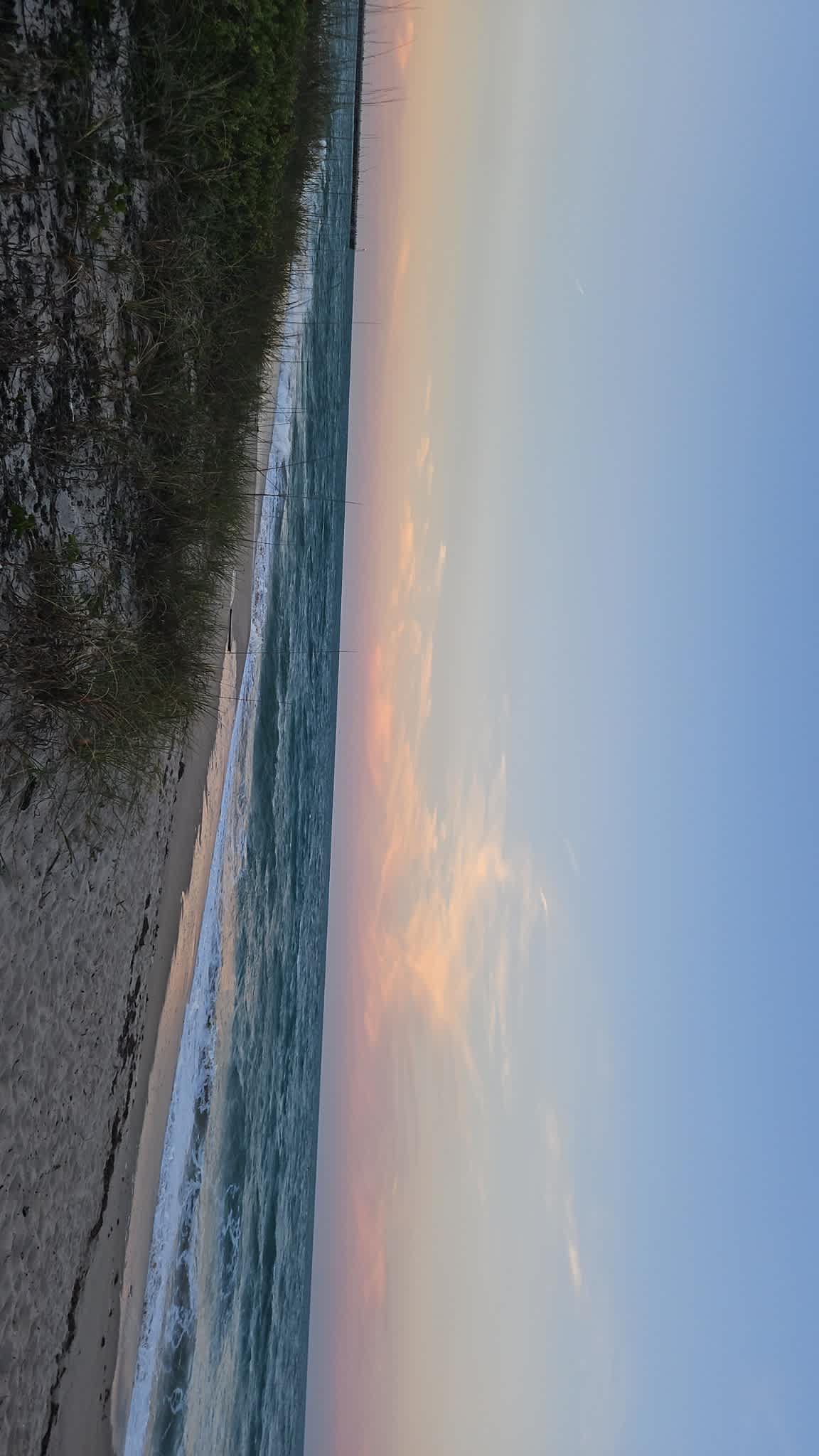 Surfer Beach And Tree Sanctuary