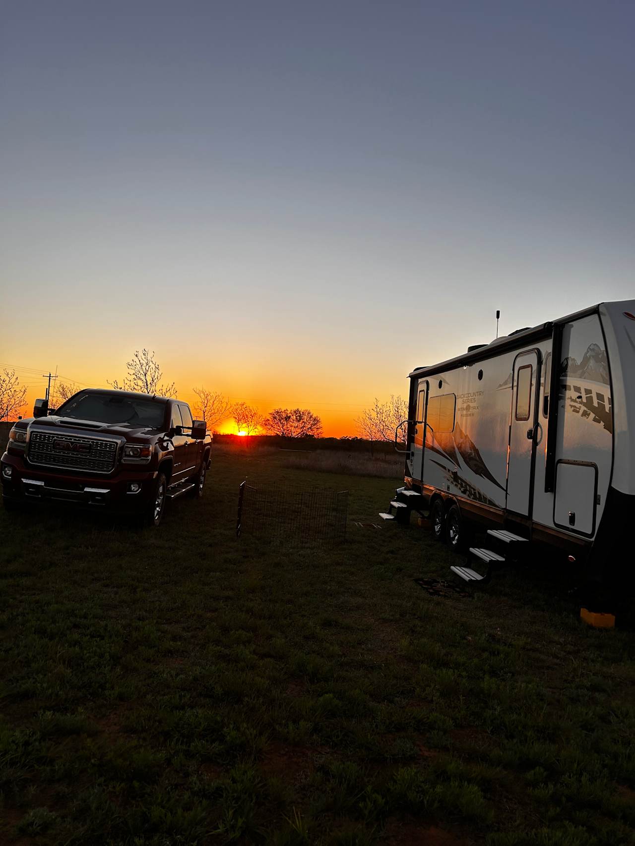 Pecan orchard