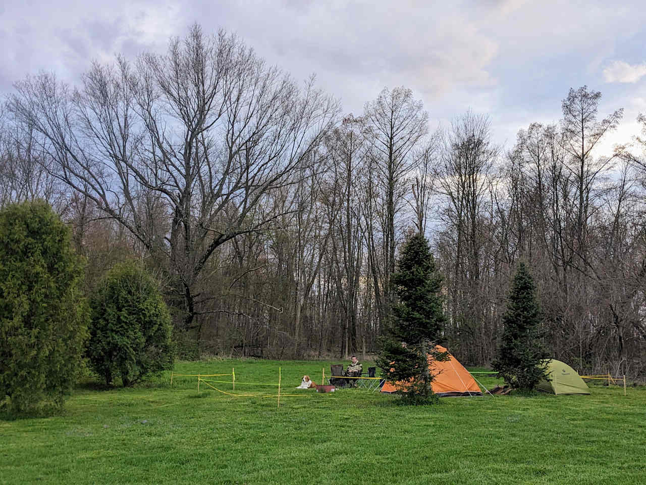 Clearview Christmas Tree Farm