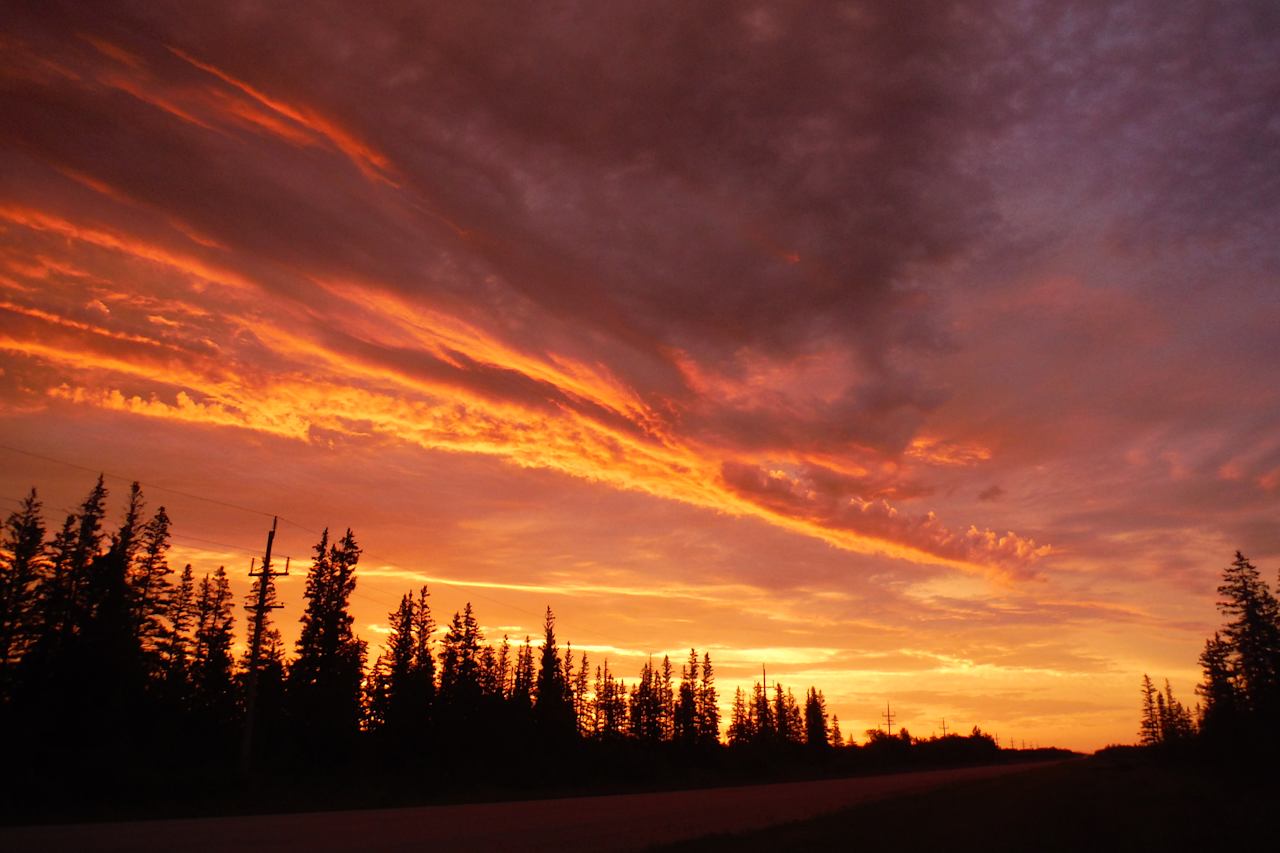 A picture of the sunrise at the farm entrance 