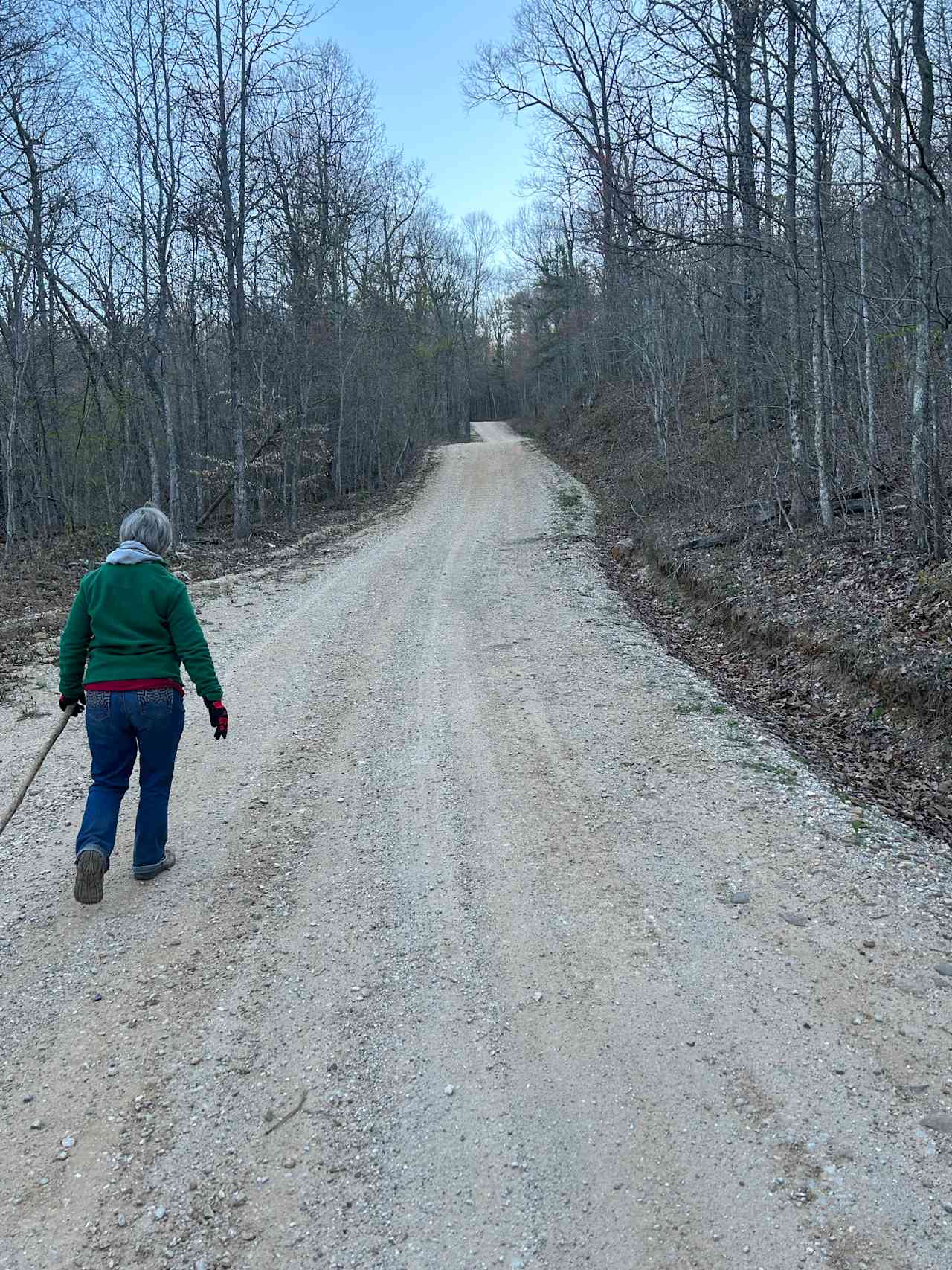 Walk down a dirt road just off Smith Mountain road, see a creek running . 
