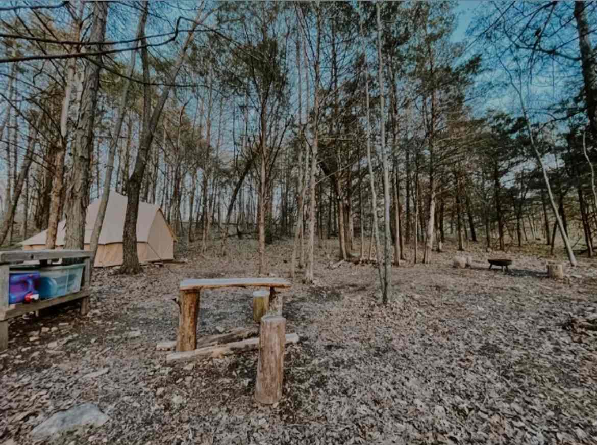 Canvas Tent in Private Woodland