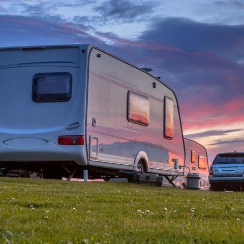 Camp Lion - Yorkshire Wildlife Park