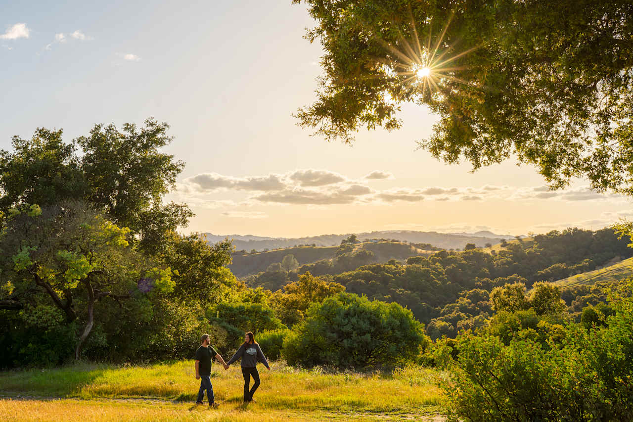 Romantic views of the vineyards and hills