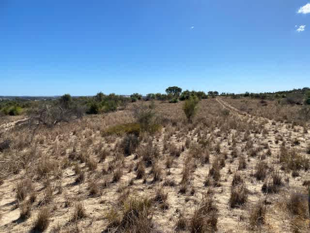 Neergabby heights