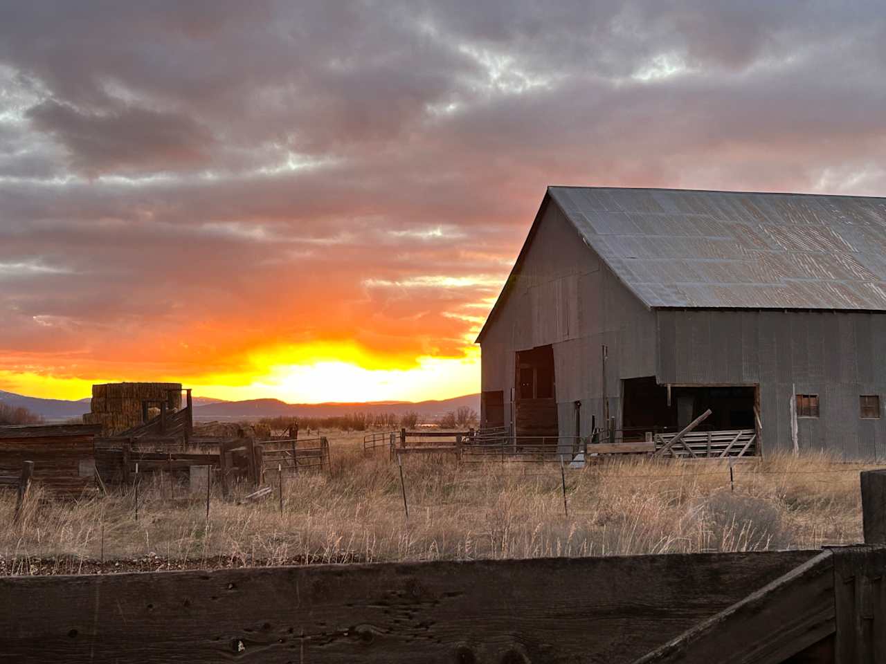 Goose Lake Organics