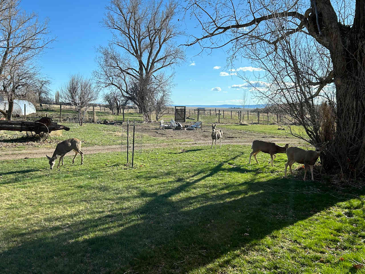 Goose Lake Organics