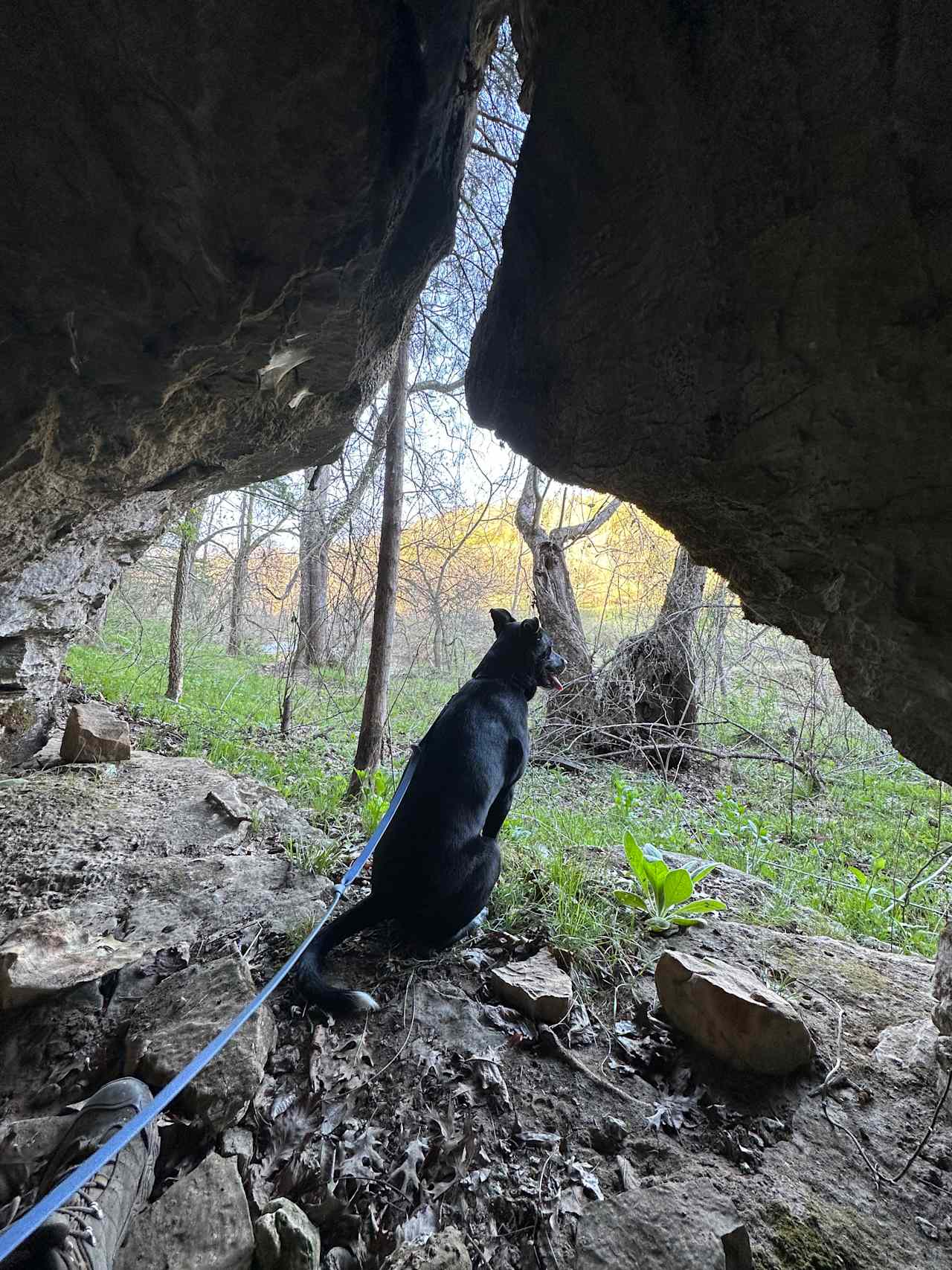 lightning Bug Hideaway