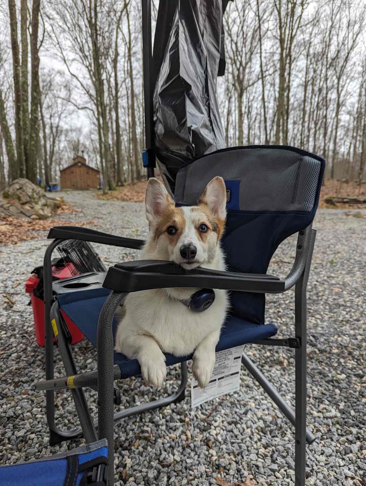 Piper in front of Rick's Sugar Shack where he makes his own Maple Syrup 