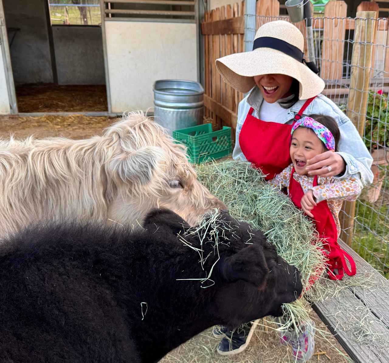 Farm Retreat with Calf Cuddling