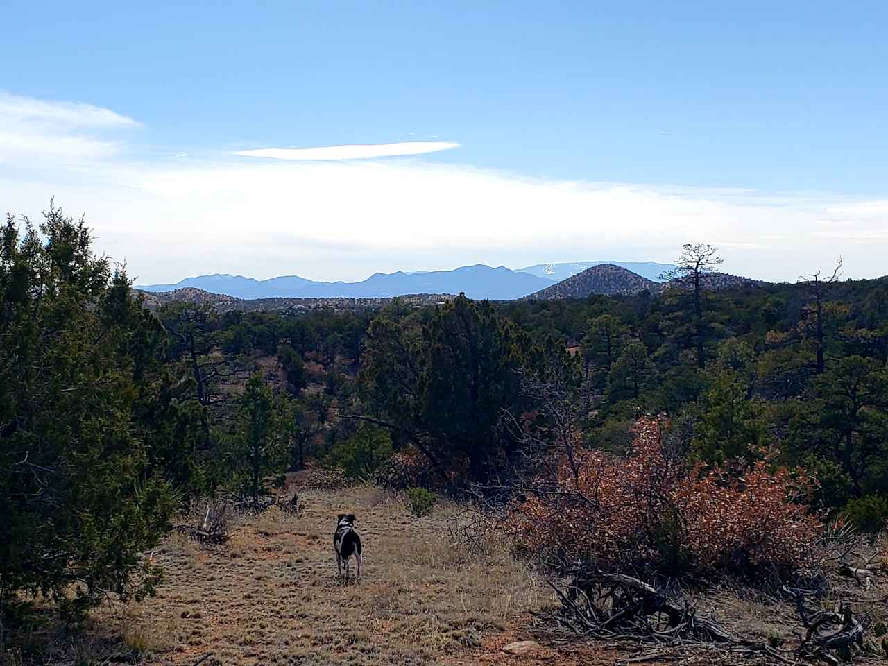 Ridgetop Oasis - Hike In