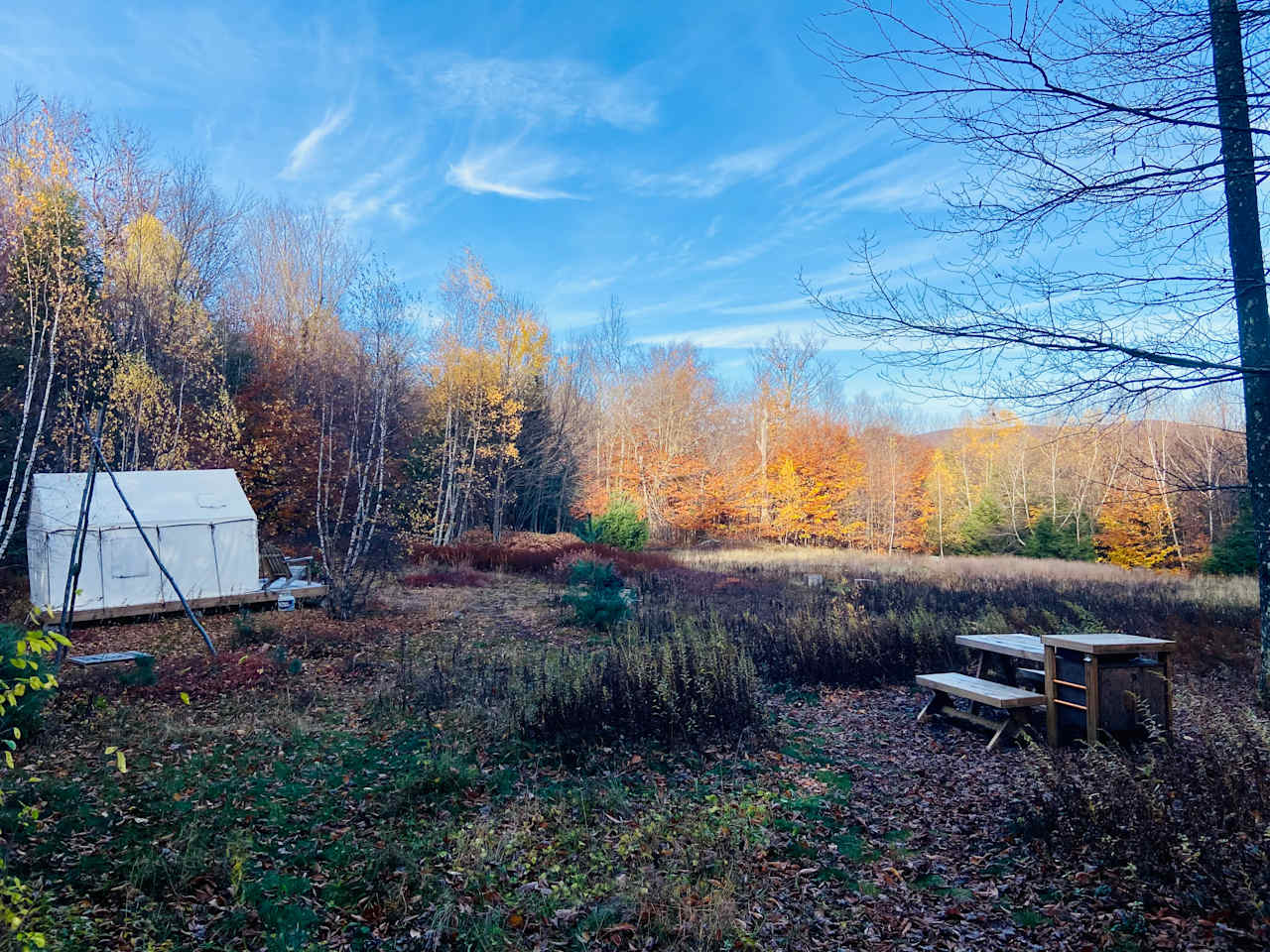 Sunrise Meadow Catskills