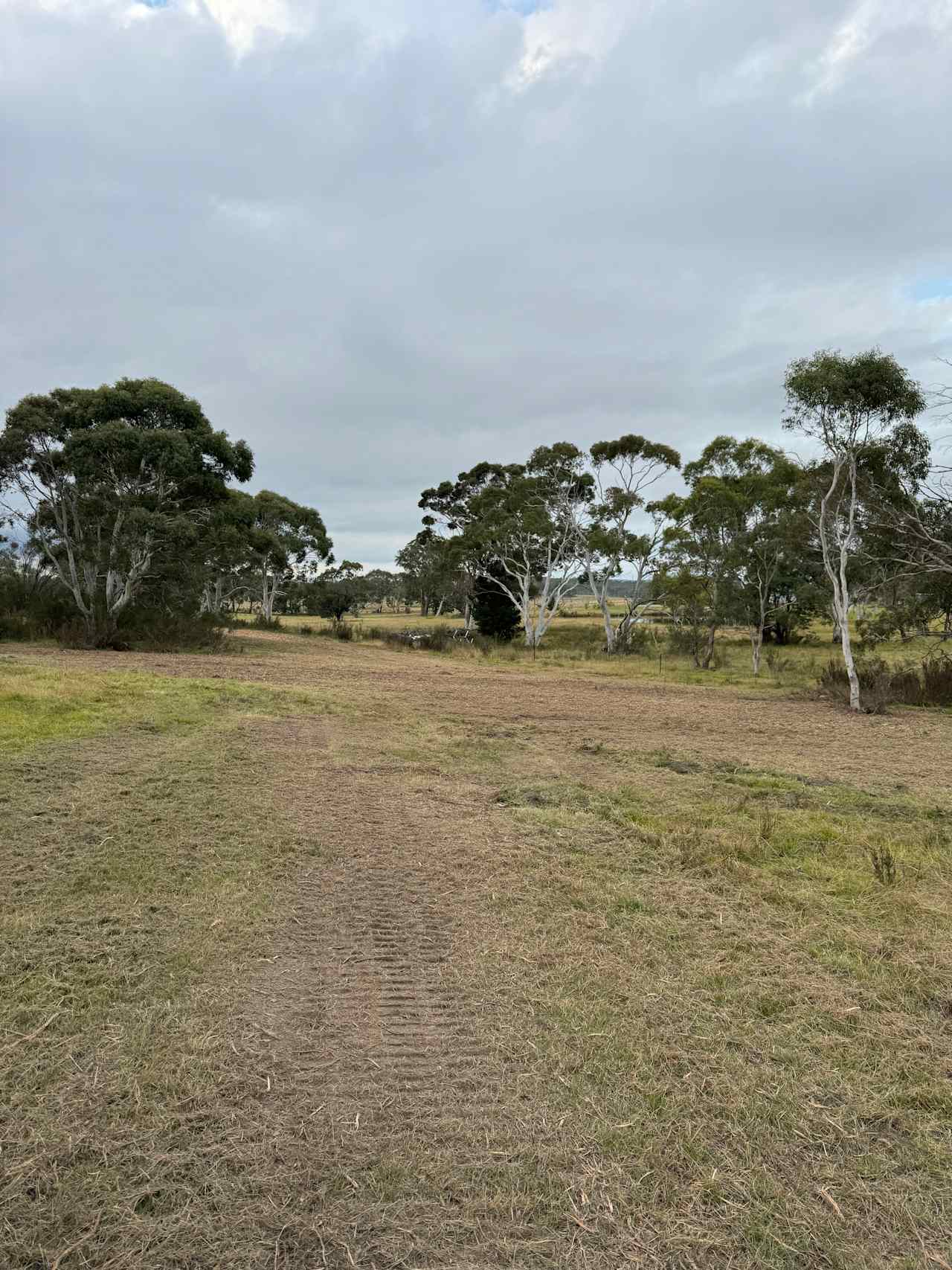 Bombay Bush Cabin and Camping