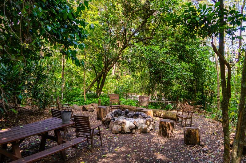 Binna Burra Lodge