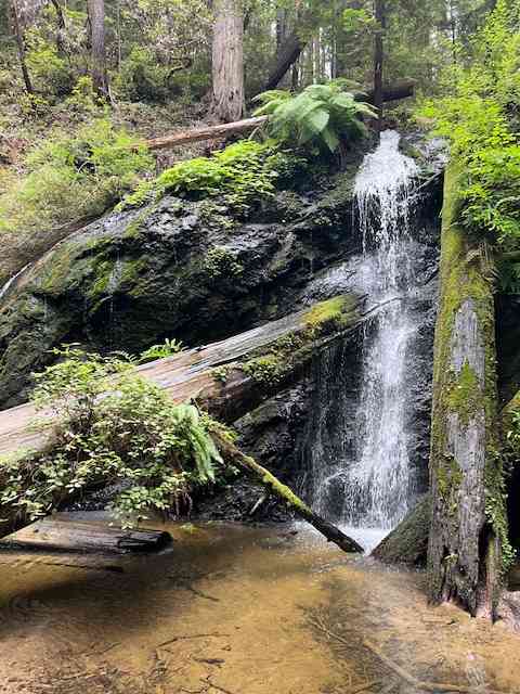 Waterfall Camp