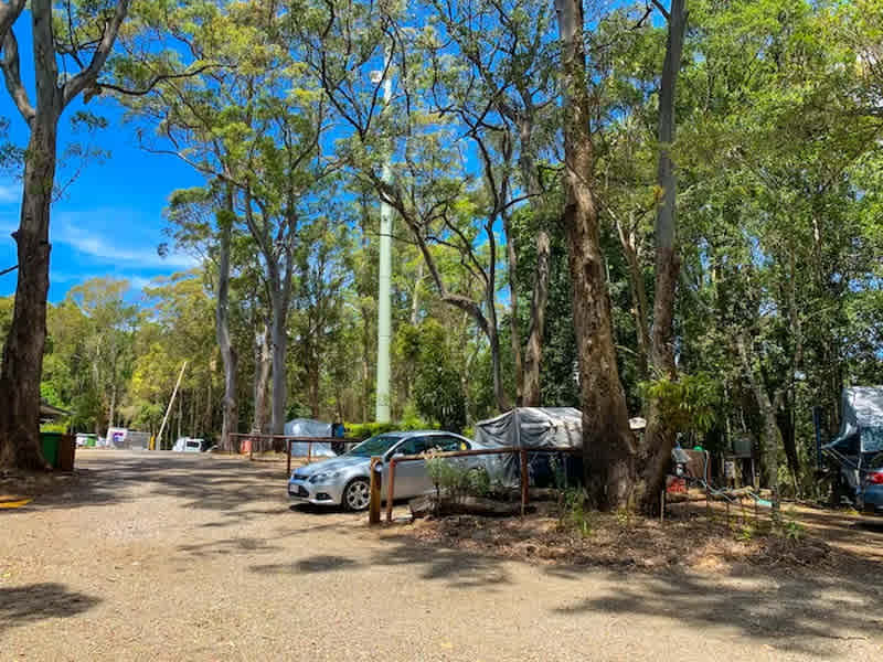 Binna Burra Lodge