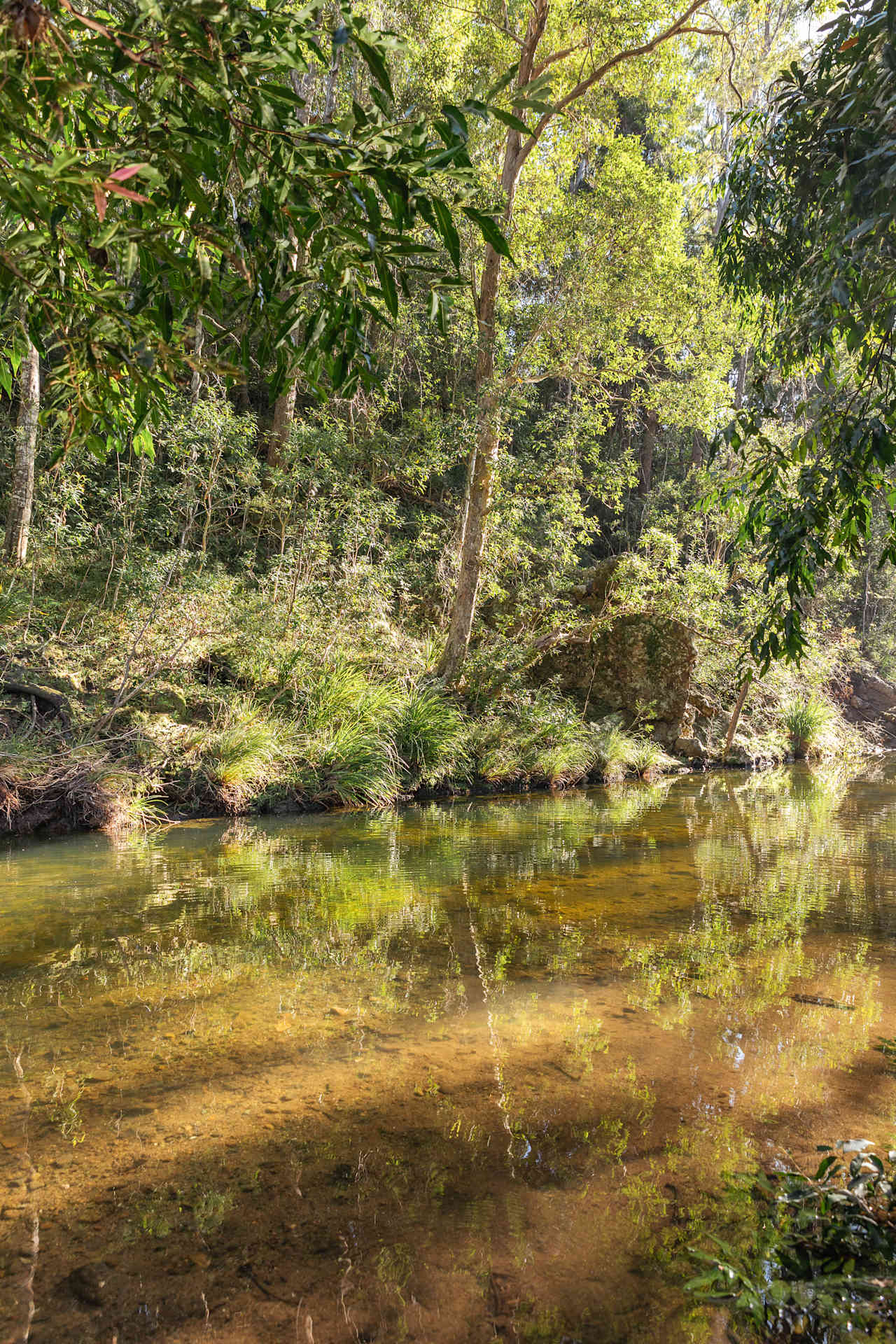 Creek View Place