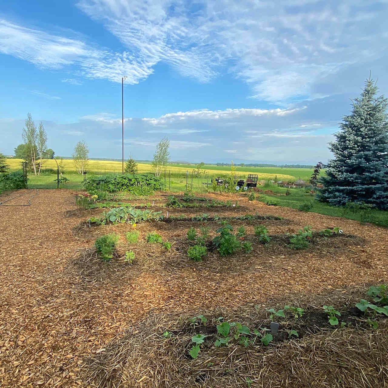 Sacred Circles Yurt & Gardens