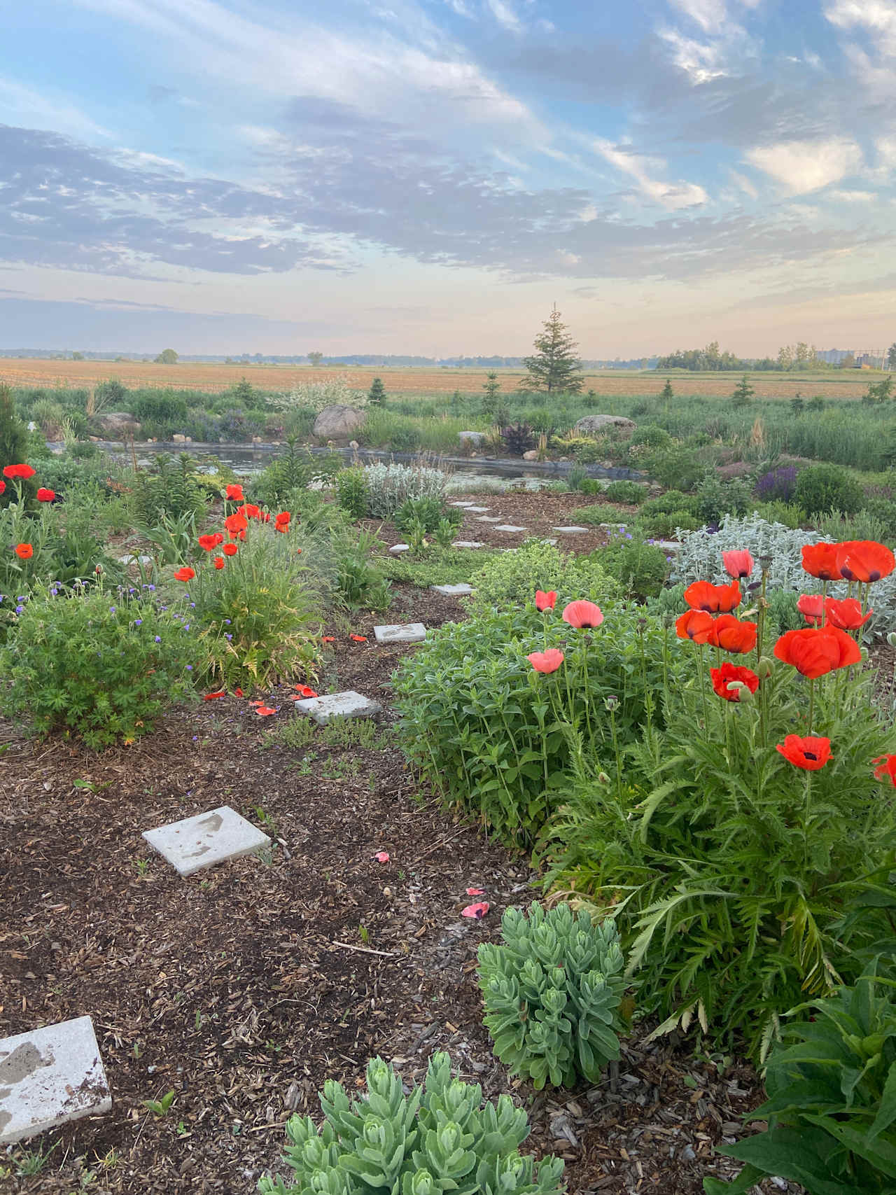 Sacred Circles Yurt & Gardens