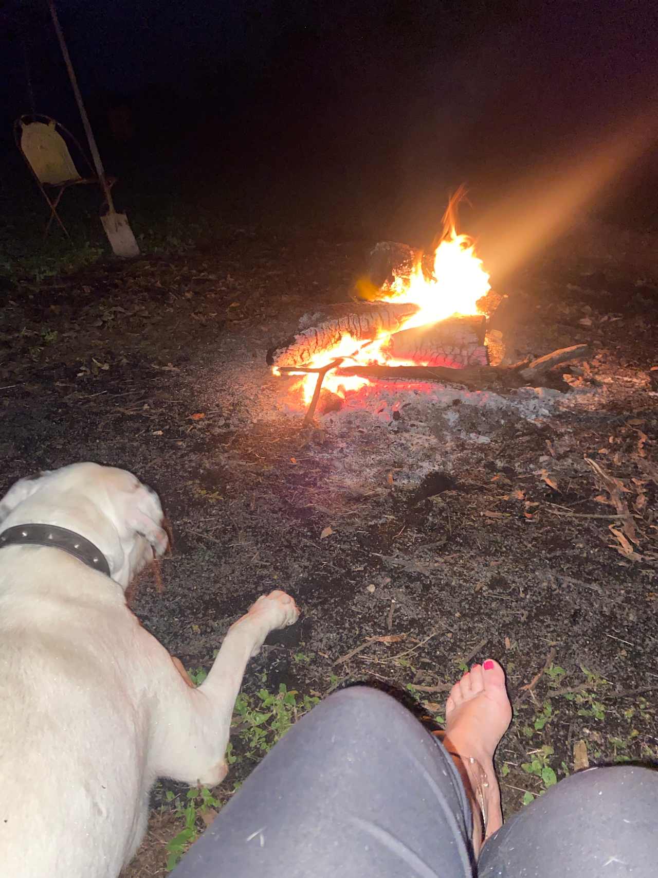 Lakeland Downs Camping