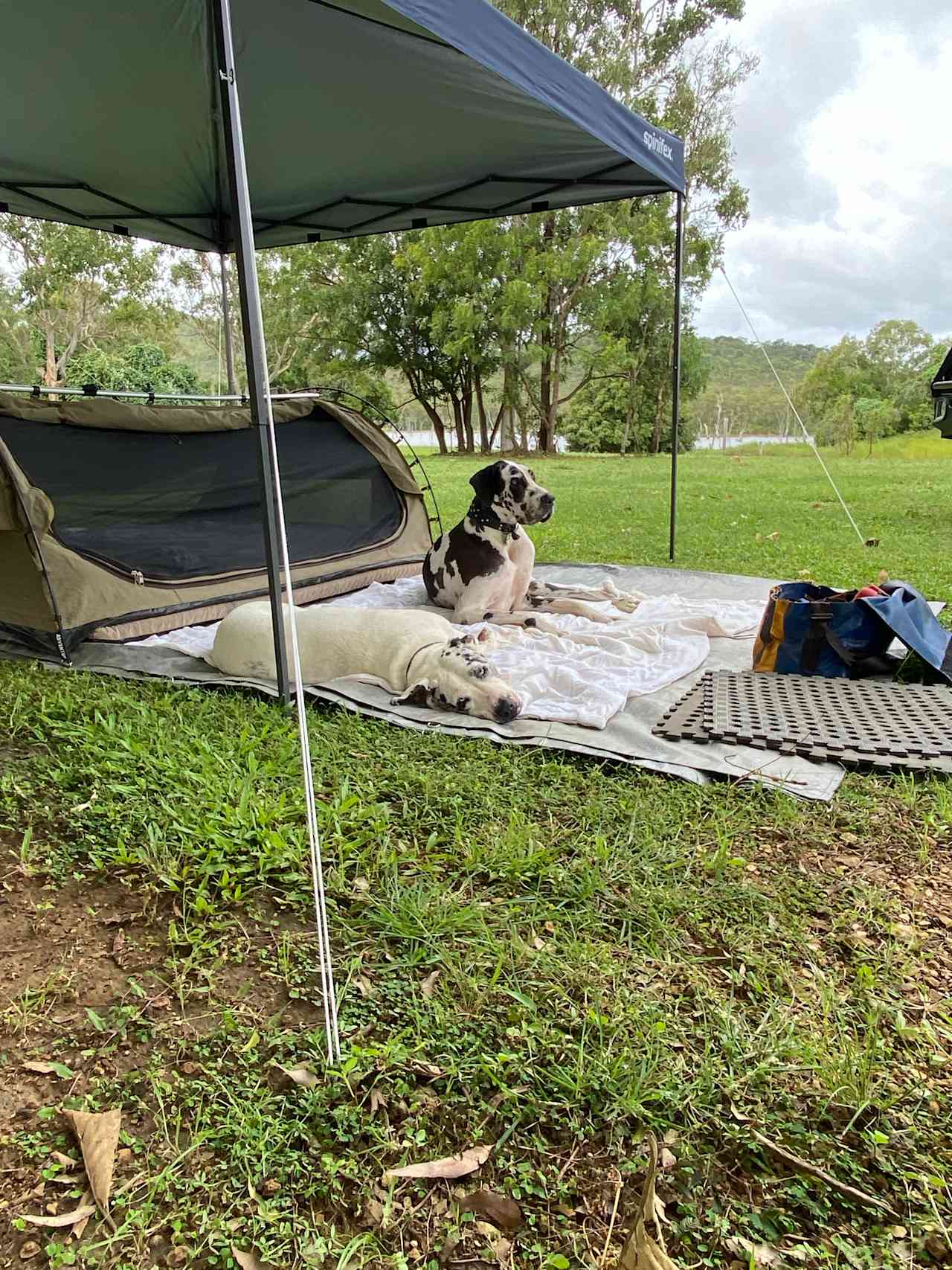 Lakeland Downs Camping